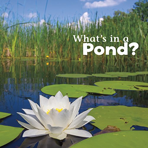 9781491460221: What's in a Pond? (What's in There?)