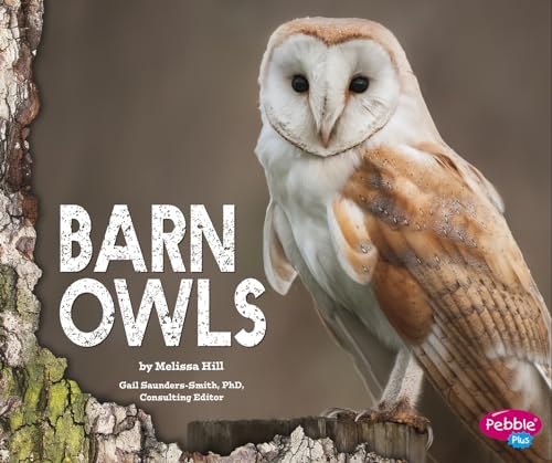 Beispielbild fr Barn Owls zum Verkauf von Better World Books
