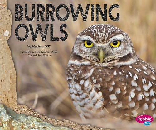 Imagen de archivo de Burrowing Owls a la venta por Off The Shelf