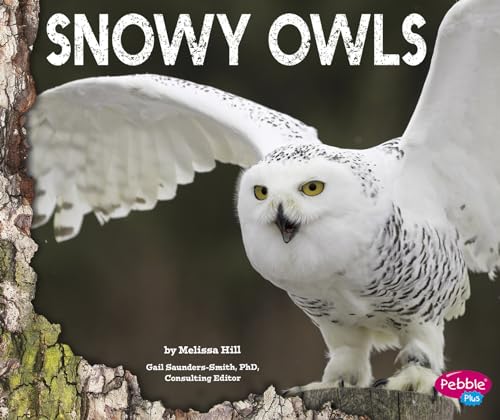 Beispielbild fr Snowy Owls zum Verkauf von Better World Books