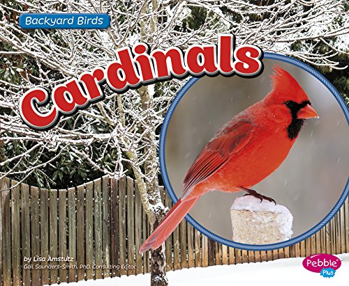 Stock image for Cardinals (Backyard Birds) for sale by Wonder Book