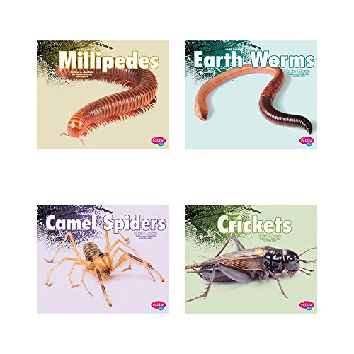 Stock image for Creepy Crawlers for sale by Reuseabook