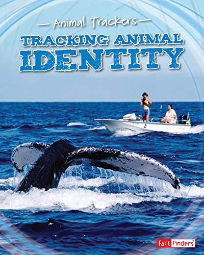 9781491469965: Tracking Animal Identity (Animal Trackers)