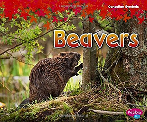 Imagen de archivo de Beavers a la venta por ThriftBooks-Atlanta