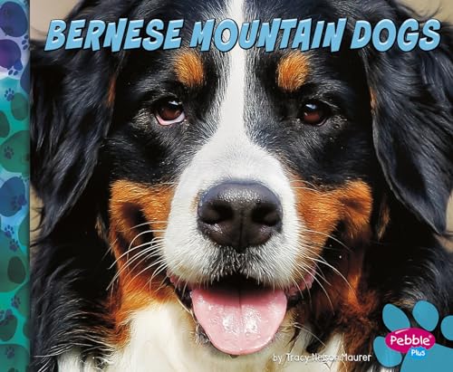 Imagen de archivo de Bernese Mountain Dogs a la venta por Better World Books