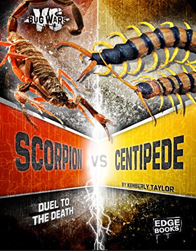 9781491480700: Scorpion vs. Centipede: Duel to the Death (Bug Wars)