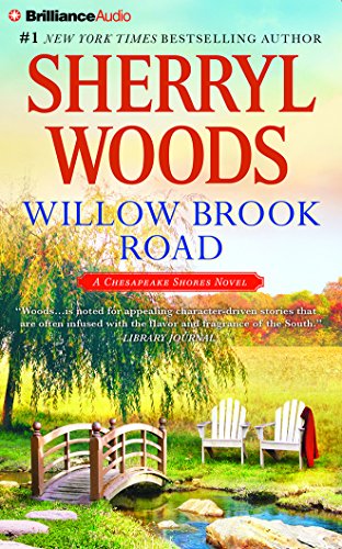 9781491523742: Willow Brook Road