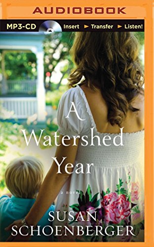 9781491538104: A Watershed Year: A Novel