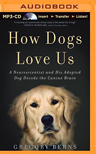 Stock image for How Dogs Love Us: A Neuroscientist and His Adopted Dog Decode the Canine Brain (Compact Disc) for sale by AussieBookSeller