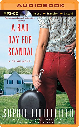 Stock image for Bad Day for Scandal, A (Stella Hardesty) for sale by Book Outpost