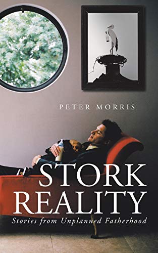 Beispielbild fr Stork Reality: Stories from Unplanned Fatherhood zum Verkauf von Chiron Media