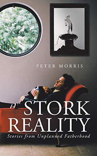 Stock image for Stork Reality: Stories from Unplanned Fatherhood for sale by Chiron Media