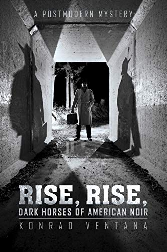 Beispielbild fr Rise, Rise, Dark Horses of American Noir: A Postmodern Mystery zum Verkauf von Lakeside Books