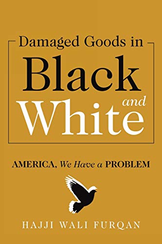 Stock image for Damaged Goods in Black and White: America, We Have a Problem for sale by Chiron Media