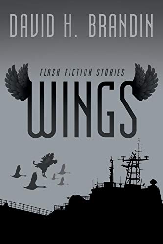 Imagen de archivo de Wings: Flash Fiction Stories a la venta por Lucky's Textbooks