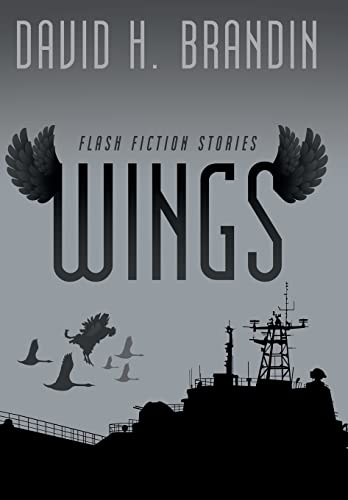 Imagen de archivo de Wings: Flash Fiction Stories a la venta por Lucky's Textbooks