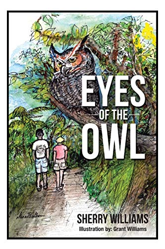 Beispielbild fr Eyes of the Owl zum Verkauf von Lucky's Textbooks