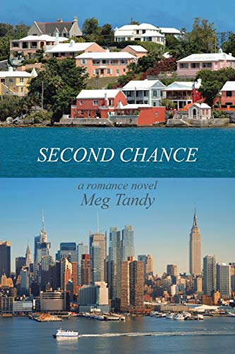 Stock image for Second Chance: A Romance Novel for sale by SecondSale