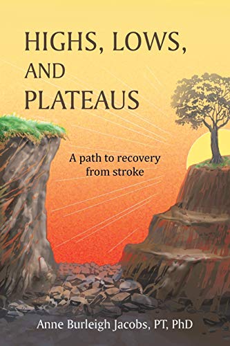9781491862315: Highs, Lows, and Plateaus: A Path to Recovery from Stroke