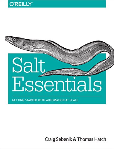 Stock image for Salt Essentials for sale by WorldofBooks