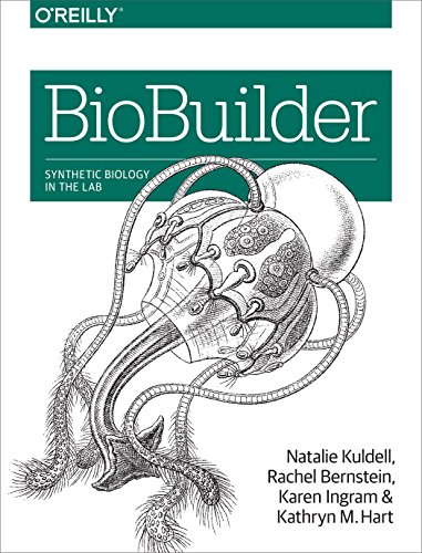 Beispielbild fr BioBuilder: Synthetic Biology in the Lab zum Verkauf von HPB-Red