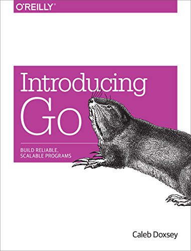 9781491941959: Introducing Go: Build Reliable, Scalable Programs