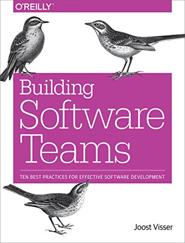 Stock image for Building Software Teams: Ten Best Practices for Effective Software Development for sale by Revaluation Books