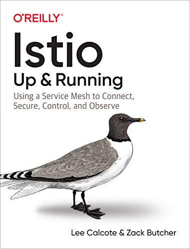 Stock image for Istio: Up and Running: Using a Service Mesh to Connect, Secure, Control, and Observe for sale by Irish Booksellers