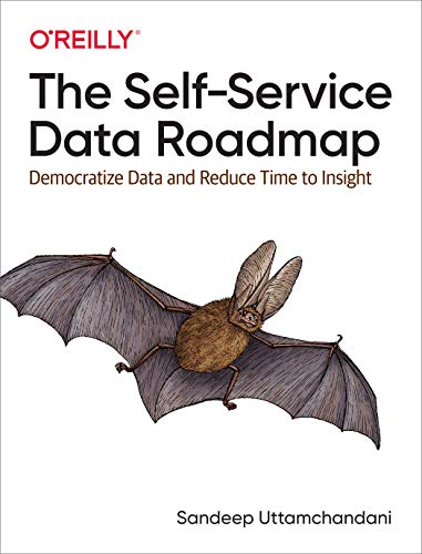 

The Self-Service Data Roadmap: Democratize Data and Reduce Time to Insight (Paperback or Softback)