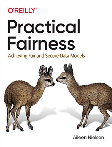 

Practical Fairness: Achieving Fair and Secure Data Models