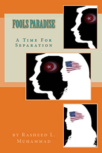 Imagen de archivo de Fool's Paradise: A Time For Separation: U.S. Legal Fiction a la venta por Lucky's Textbooks