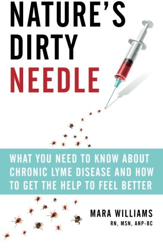 9781492148944: Nature's Dirty Needle: What You Need to Know About Chronic Lyme Disease and How to Get the Help To Feel Better