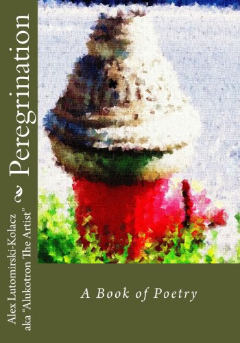 Imagen de archivo de Peregrination: A Book of Poetry a la venta por Revaluation Books