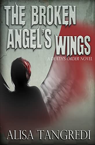Imagen de archivo de The Broken Angel's Wings a la venta por THE SAINT BOOKSTORE