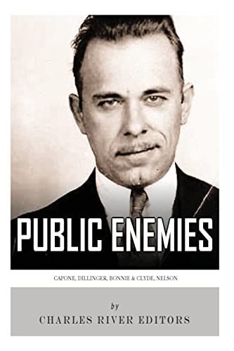 9781492229605: Public Enemies: Al Capone, John Dillinger, Bonnie & Clyde, and Baby Face Nelson