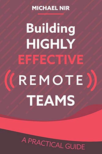 Imagen de archivo de Building Highly Effective Teams : How to Transform Virtual Teams to Cohesive Professional Networks - a Practical Guide a la venta por Better World Books