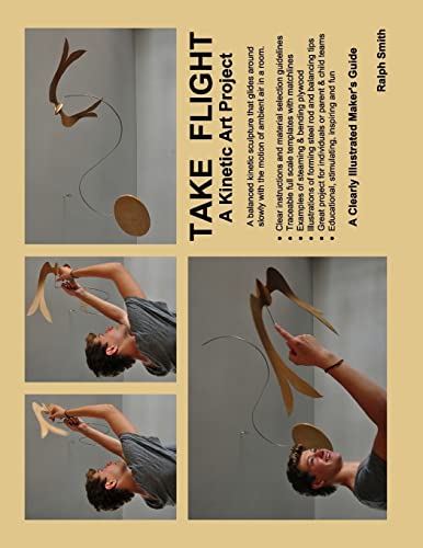 9781492282075: TAKE FLIGHT, A Kinetic Art Project: Clearly Illustrated Guide