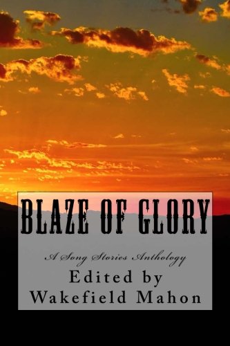 Imagen de archivo de Song Stories: Blaze of Glory a la venta por SecondSale