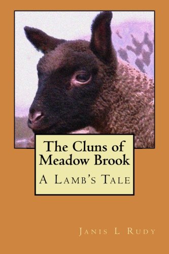 9781492291091: The Cluns of Meadow Brook