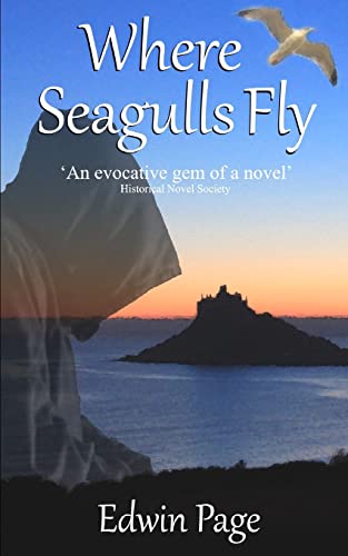 Beispielbild fr Where Seagulls Fly (2013 Edition) zum Verkauf von WorldofBooks