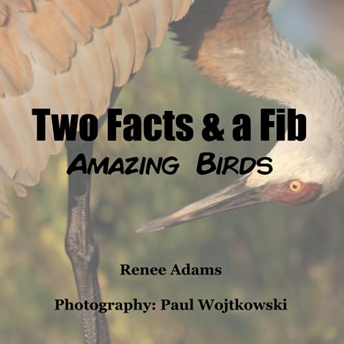 Imagen de archivo de Amazing Birds a la venta por Revaluation Books