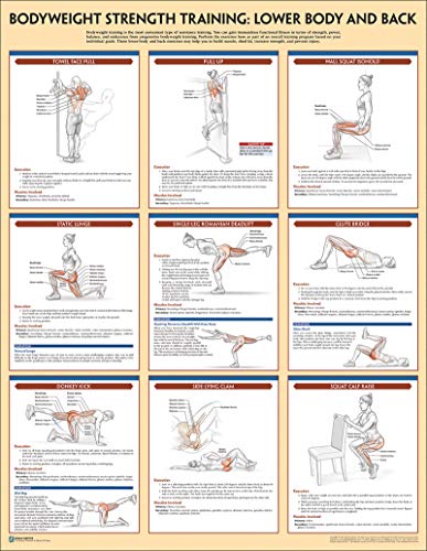 Lower body weight training exercises new arrivals