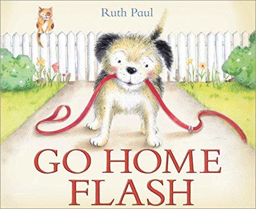 Beispielbild fr Go Home Flash zum Verkauf von Better World Books