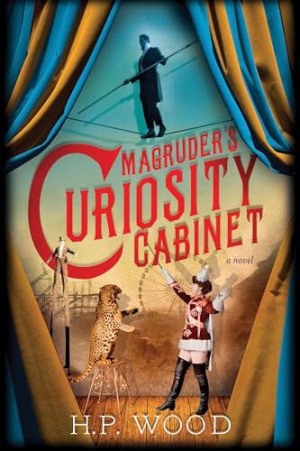 Beispielbild fr Magruder's Curiosity Cabinet: A Novel zum Verkauf von Wonder Book