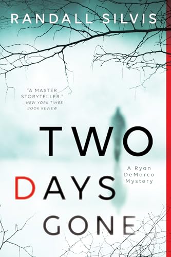 9781492639732: Two Days Gone: A Literary Thriller (Ryan DeMarco Mystery, 1)