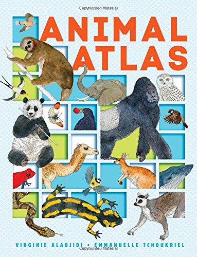 Beispielbild fr Animal Atlas zum Verkauf von SecondSale