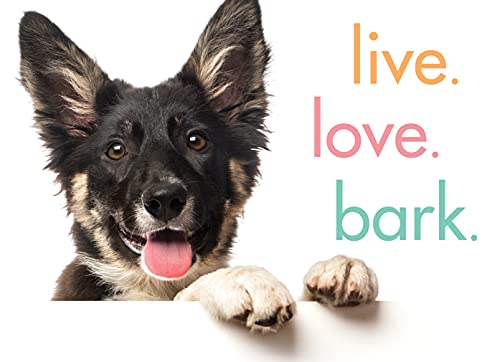 9781492657934: Live. Love. Bark.