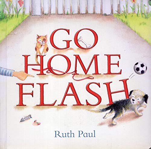 Imagen de archivo de Go Home Flash a la venta por Wonder Book