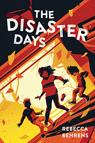 9781492673316: The Disaster Days