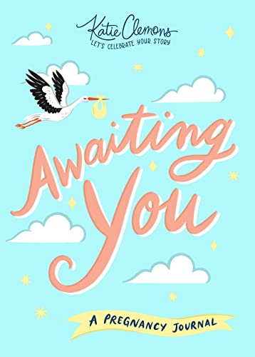 9781492693598: Awaiting You: A Guided Pregnancy Journal―Create a Unique Baby Keepsake As You Capture Milestones and Record Memories (Gifts for Pregnant Women, Baby Shower Gift)